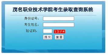 學考錄取結果陸續揭曉，信息技術咨詢服務助力考生把握未來